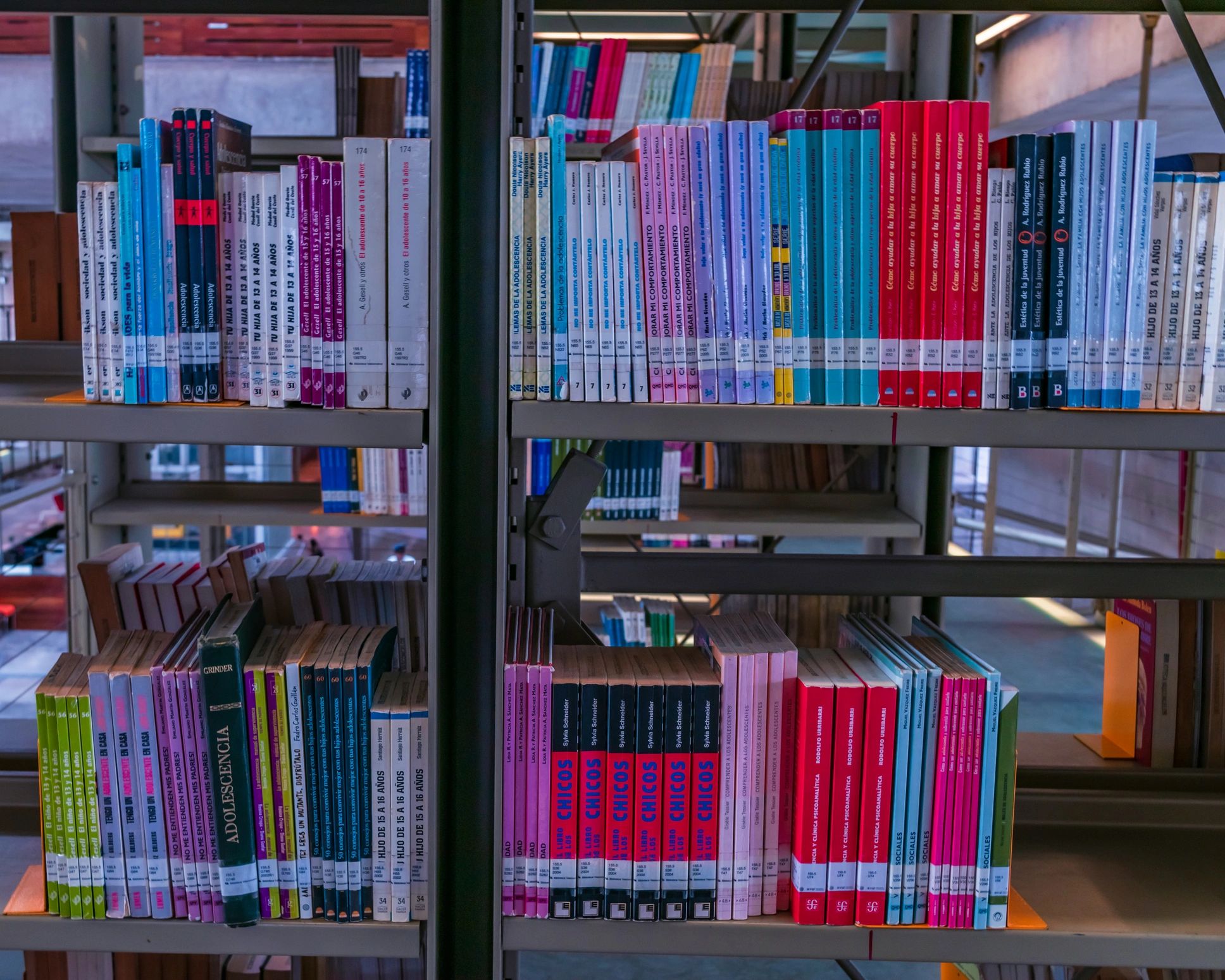 Bookshelves filled with books for character and story inspiration