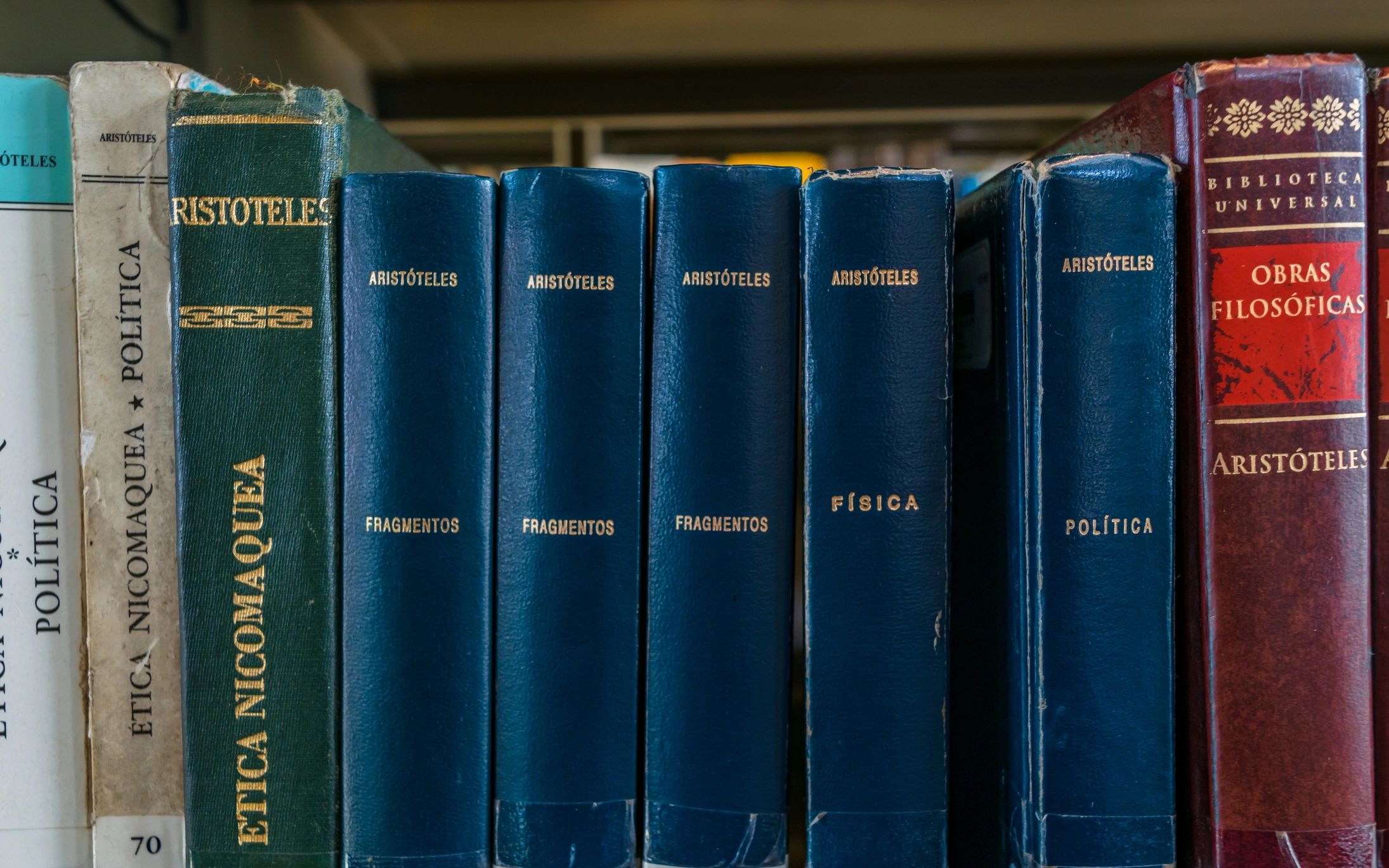 Library shelves suggesting hidden clues and research