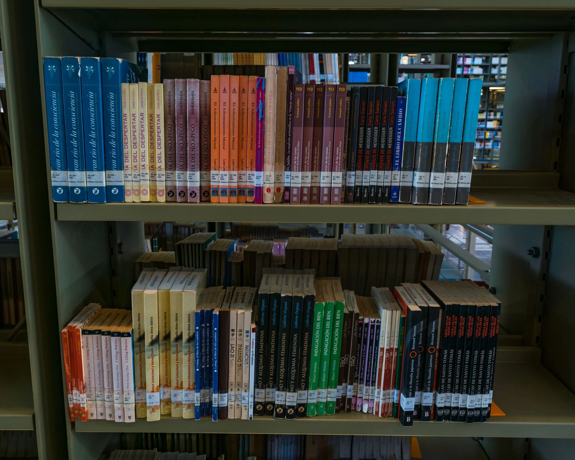 Bookshelves in a quiet library setting