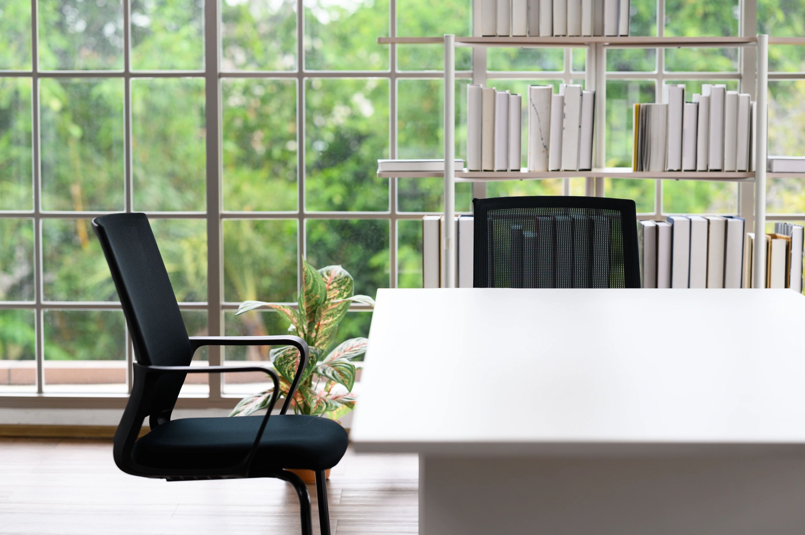 Writer desk and bookshelf for planning historical fiction characters