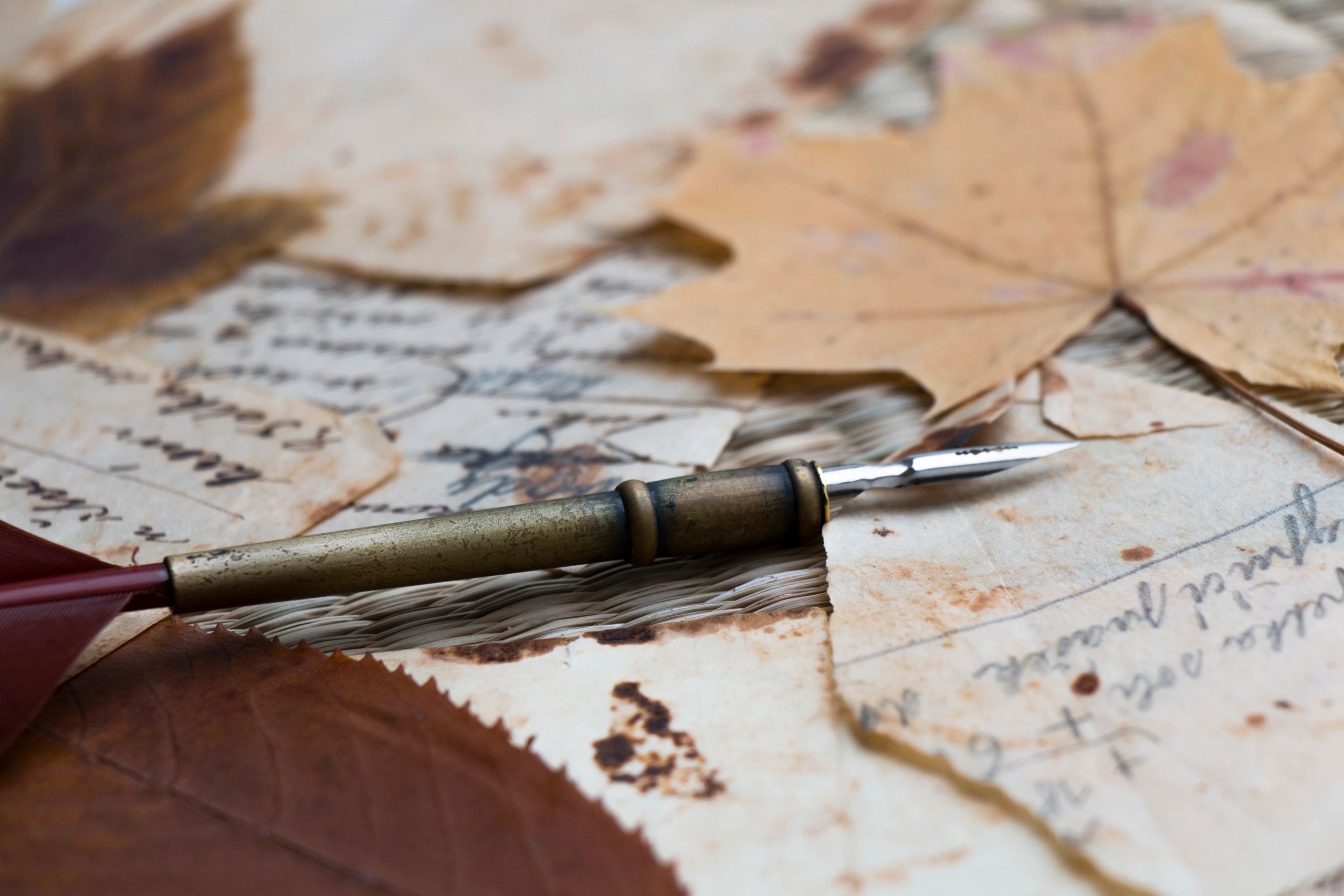 Handwritten notes and quill for fantasy world-building